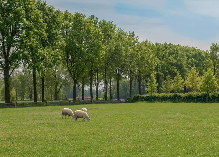 Meidoornhoeve * Lage Mierde