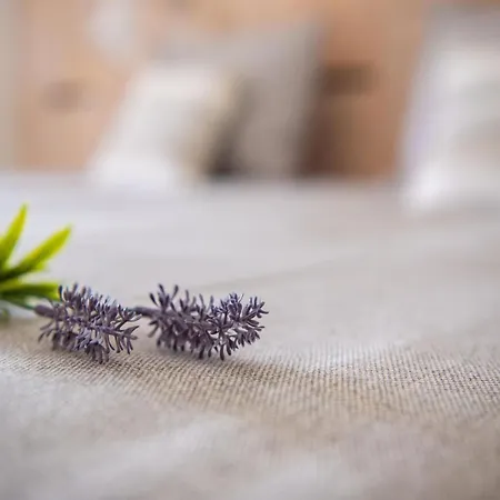 Meidoornhoeve * Lage Mierde