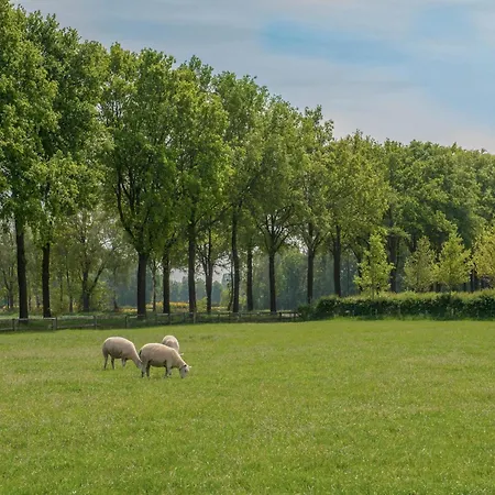 Meidoornhoeve * Lage Mierde