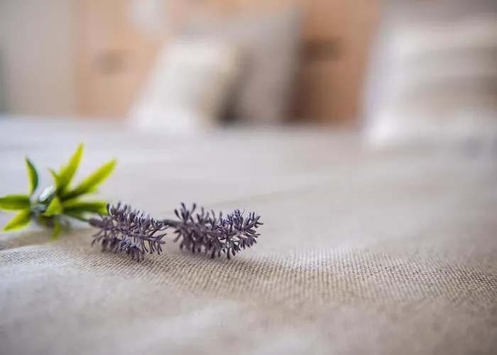 Meidoornhoeve * Lage Mierde