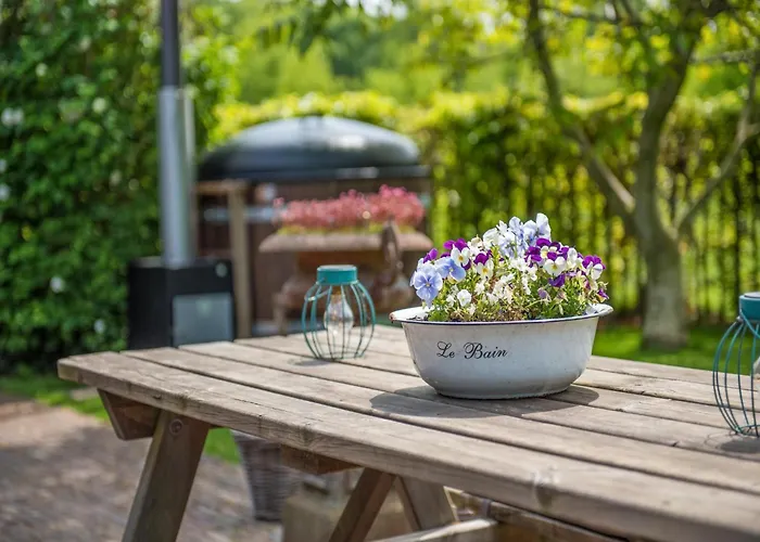 Meidoornhoeve * Lage Mierde